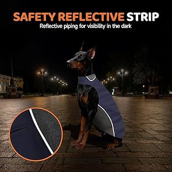 Amazon.com : Winter Dog Coat 100% Waterproof Thicken Pet